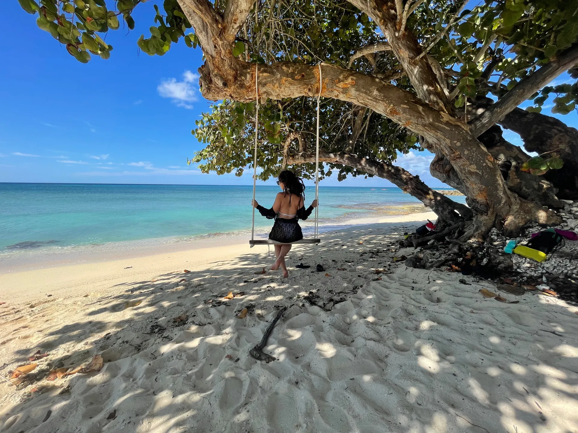 Bipolar &amp; Stoned