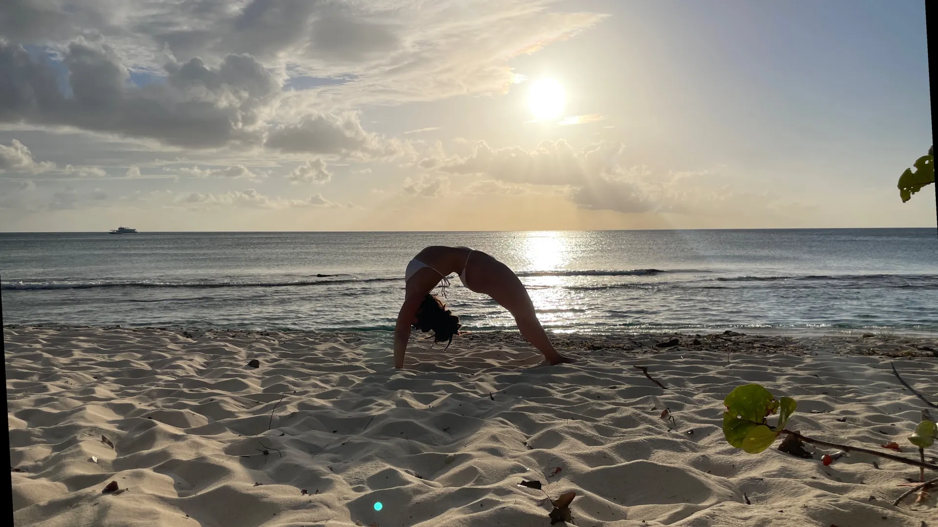 Bipolar &amp; Stoned OnlyFans header