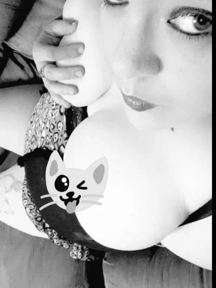 Bipolar Princess OnlyFans header