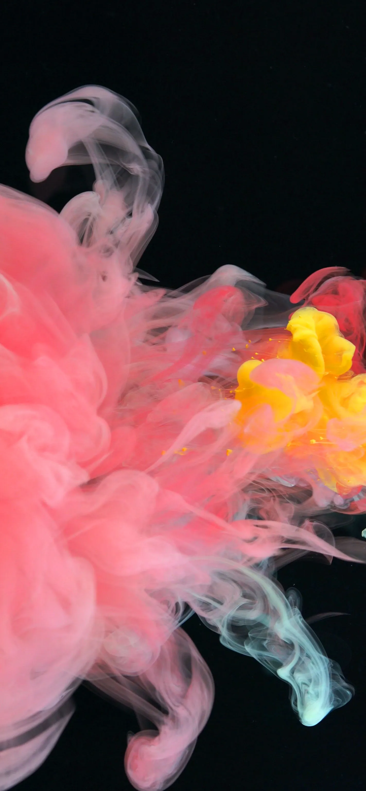 biprincess OnlyFans header