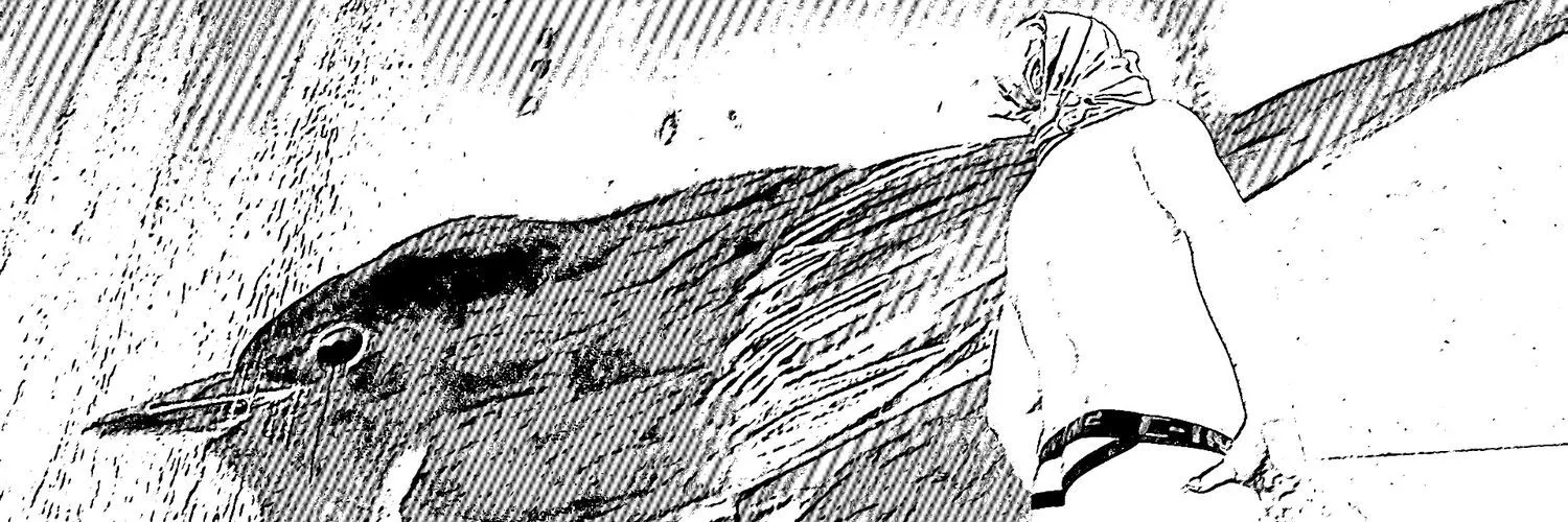 bird4x OnlyFans header