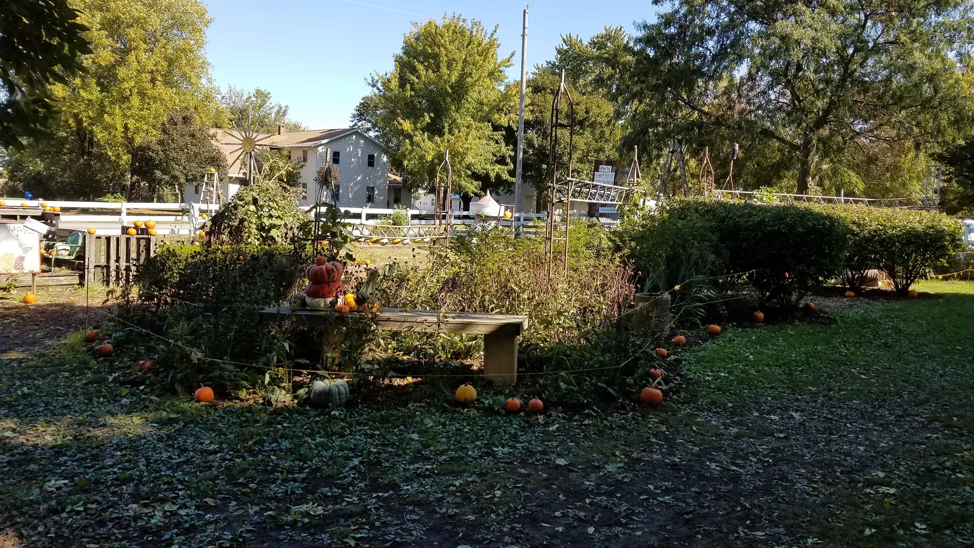 birdieAhegaoAmigo OnlyFans header