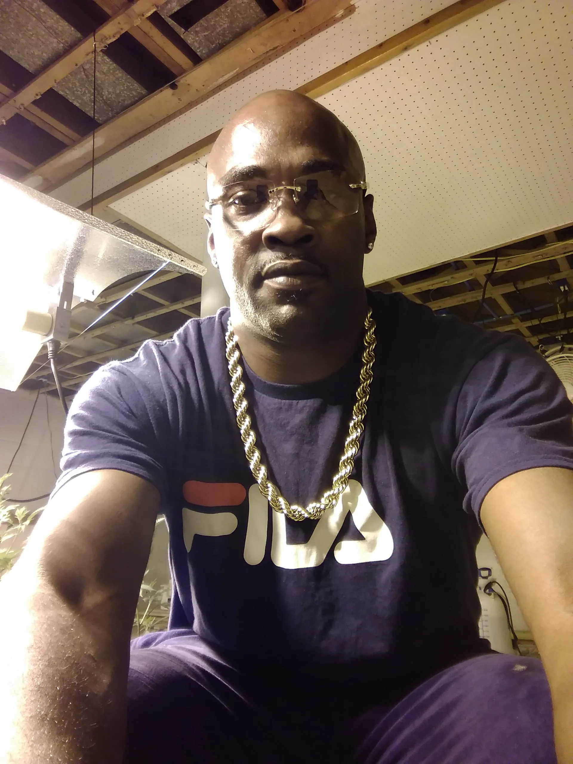 Birdchasecat OnlyFans header