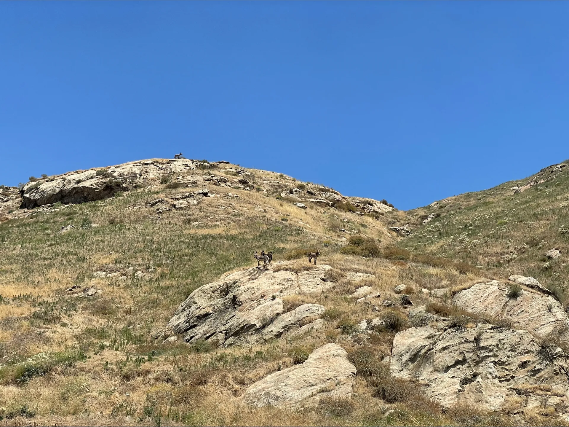 💋 OnlyFans header