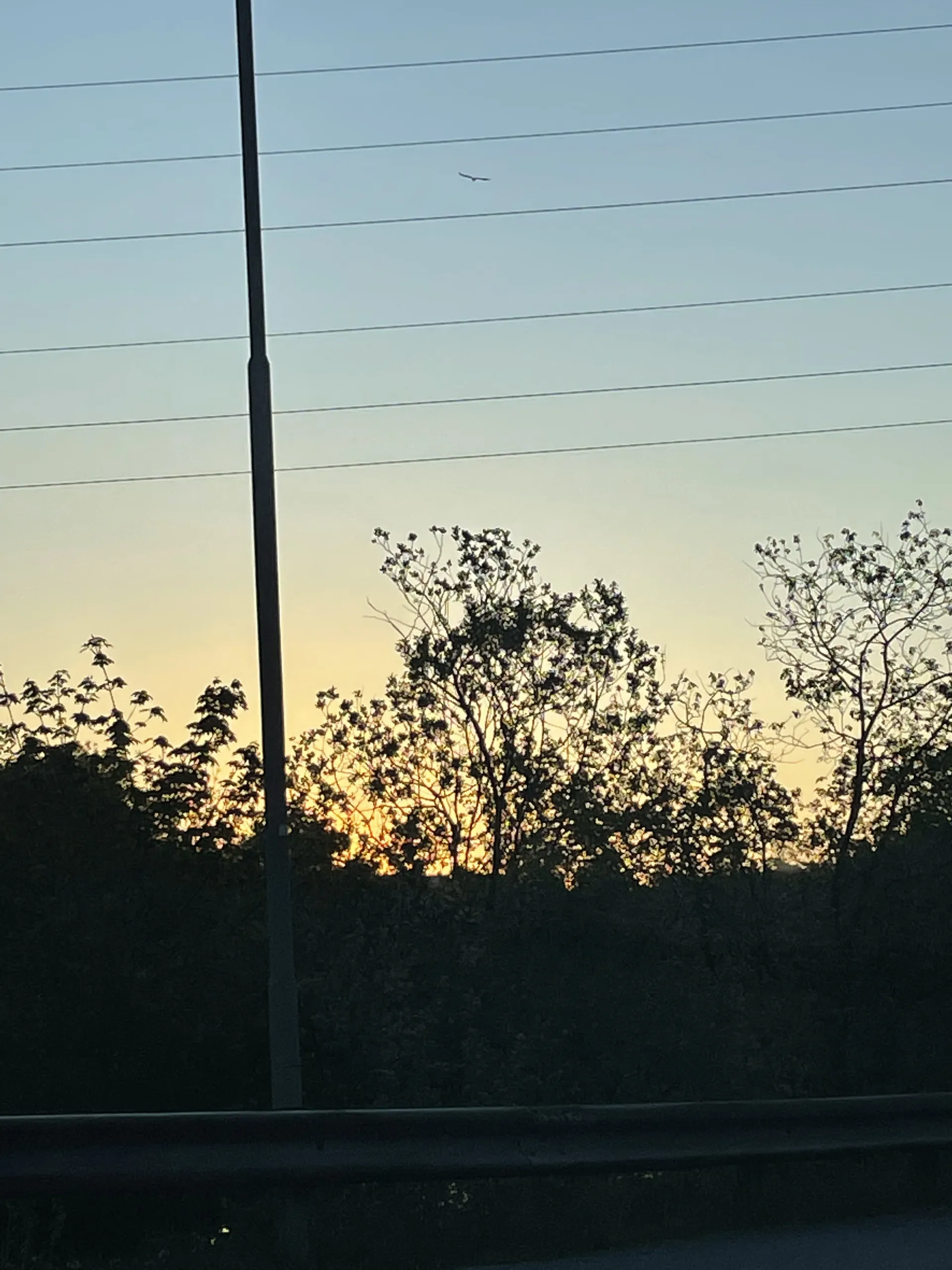 Birgitte Trampe OnlyFans header