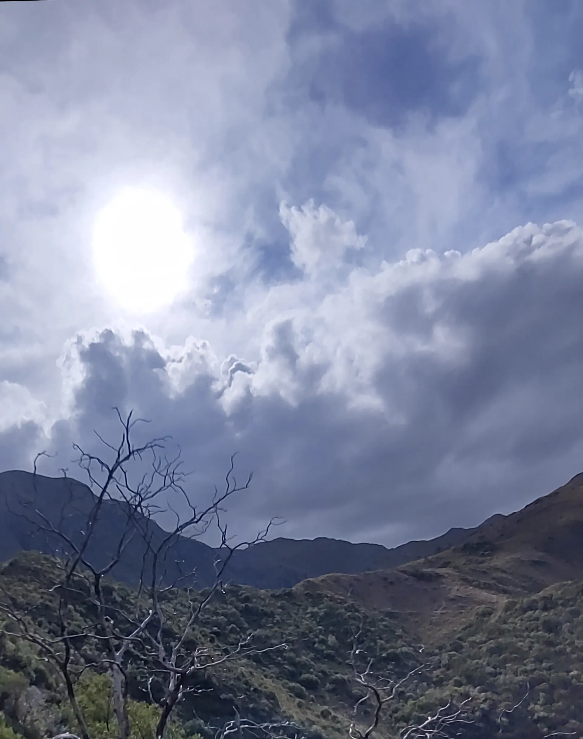 Bianca Rodriguez OnlyFans header