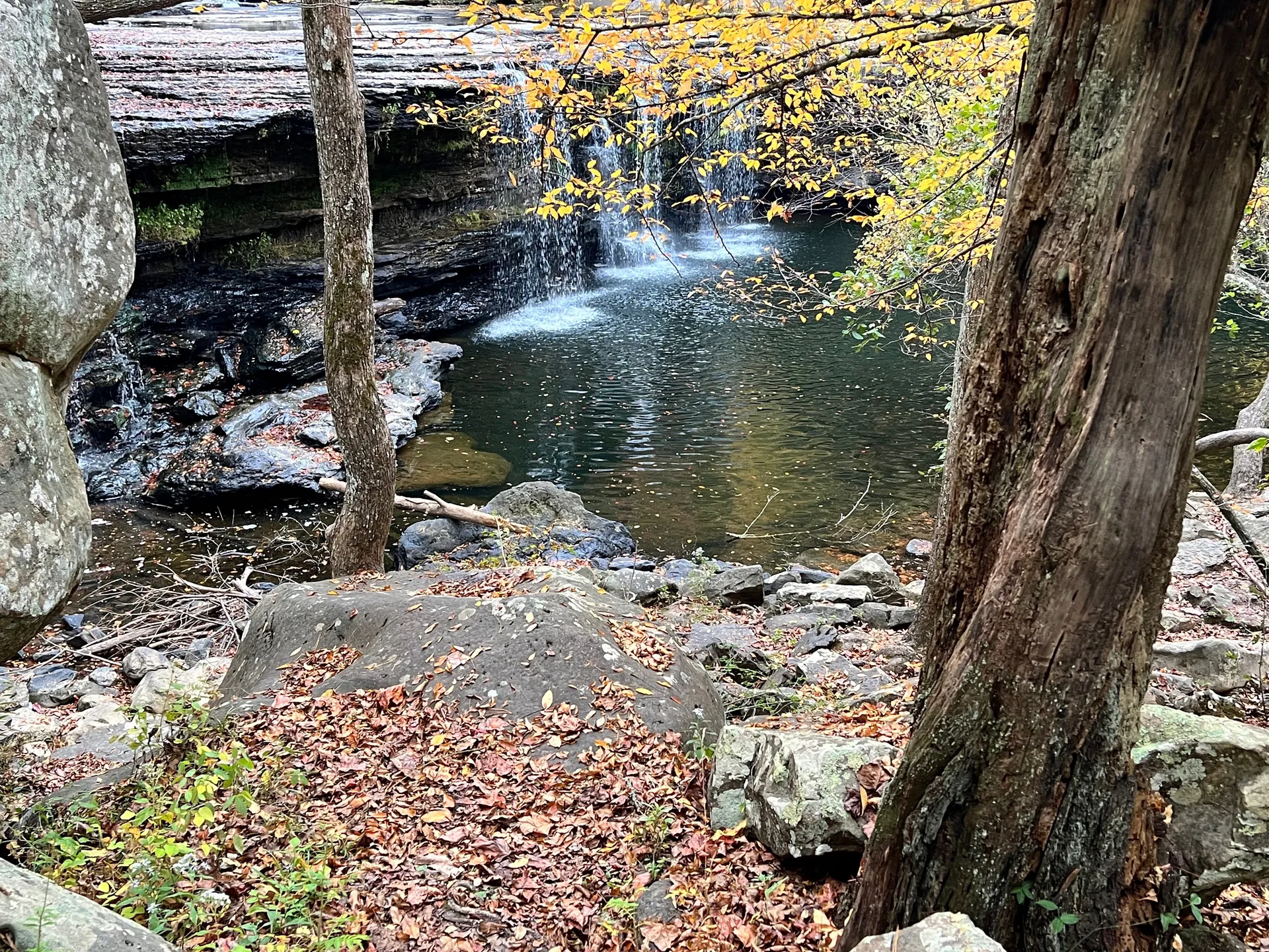 Kelsey Martin OnlyFans header