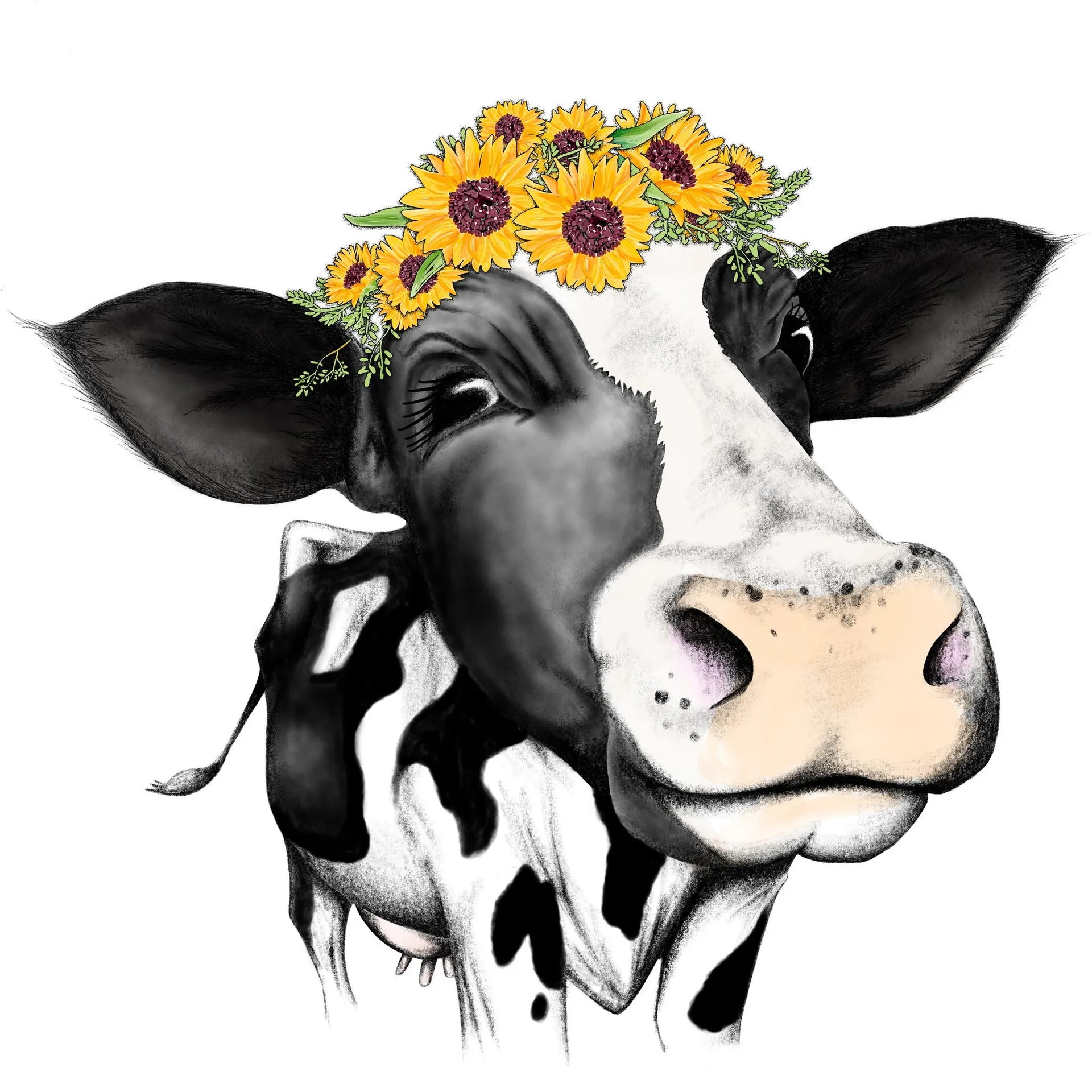 Kortnie OnlyFans header