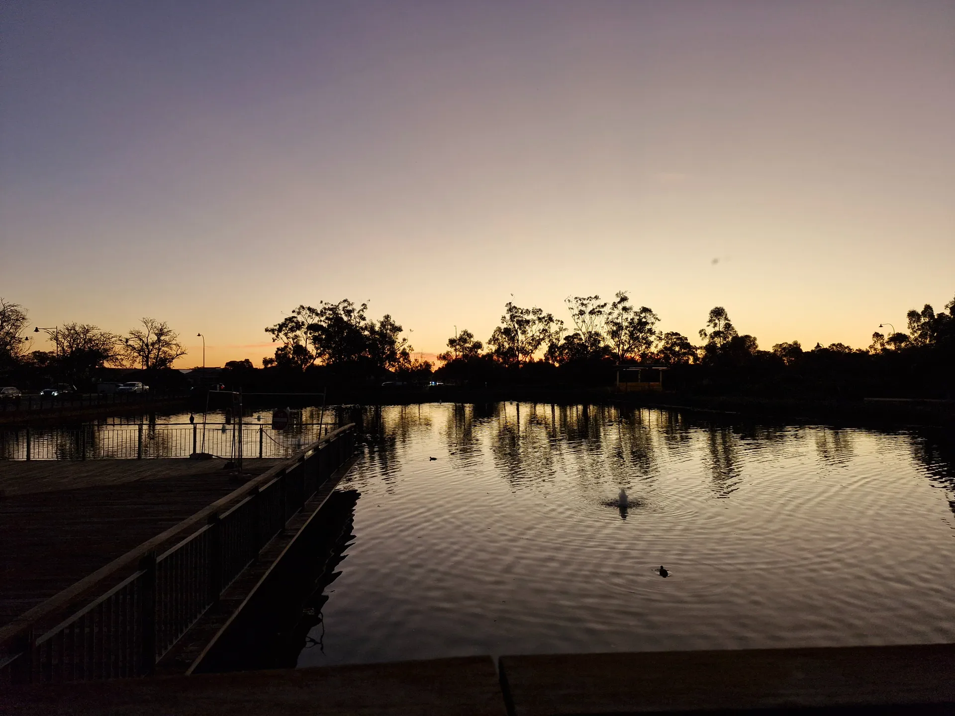 Biswitchly OnlyFans header