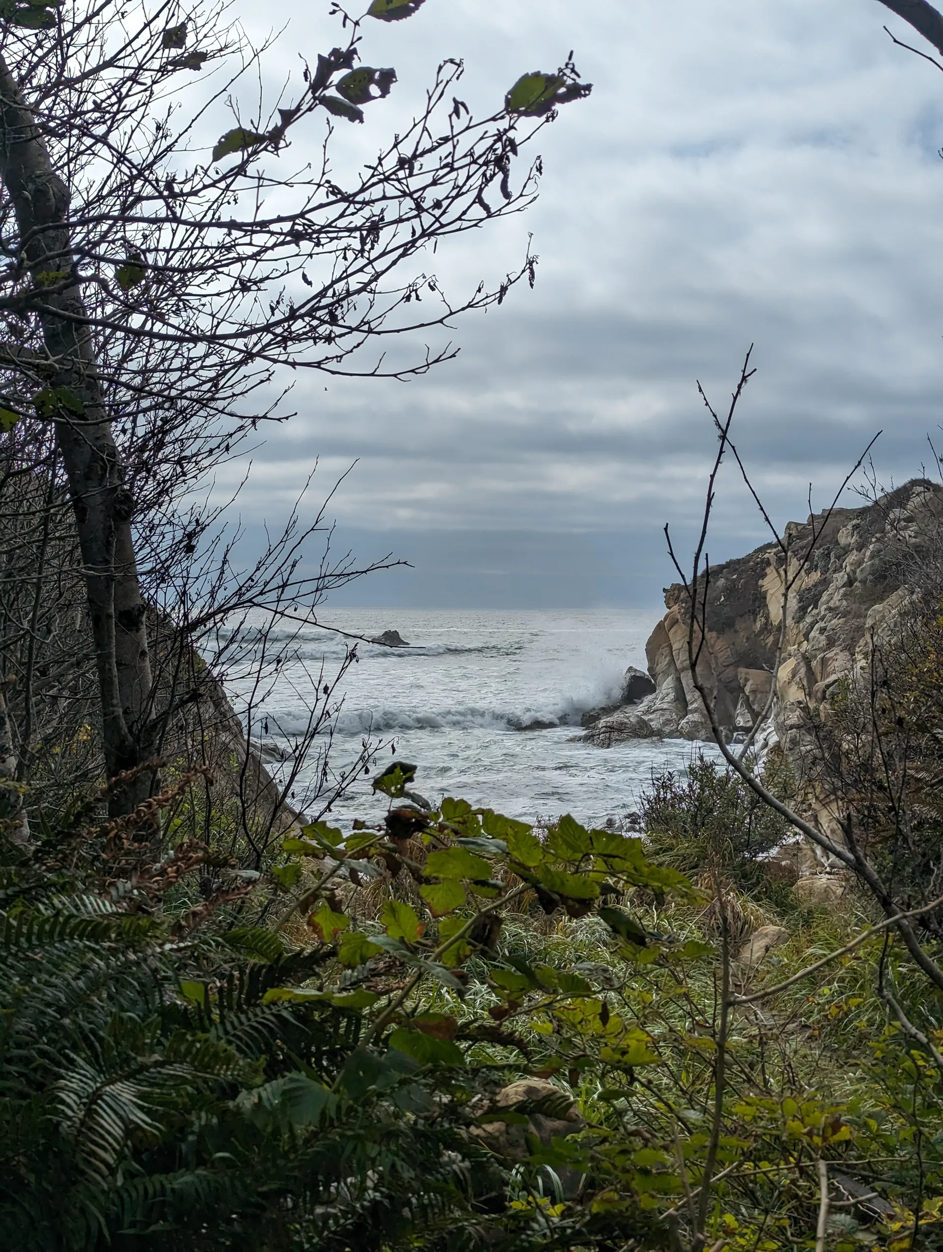 Bay Area Taco Eater OnlyFans header