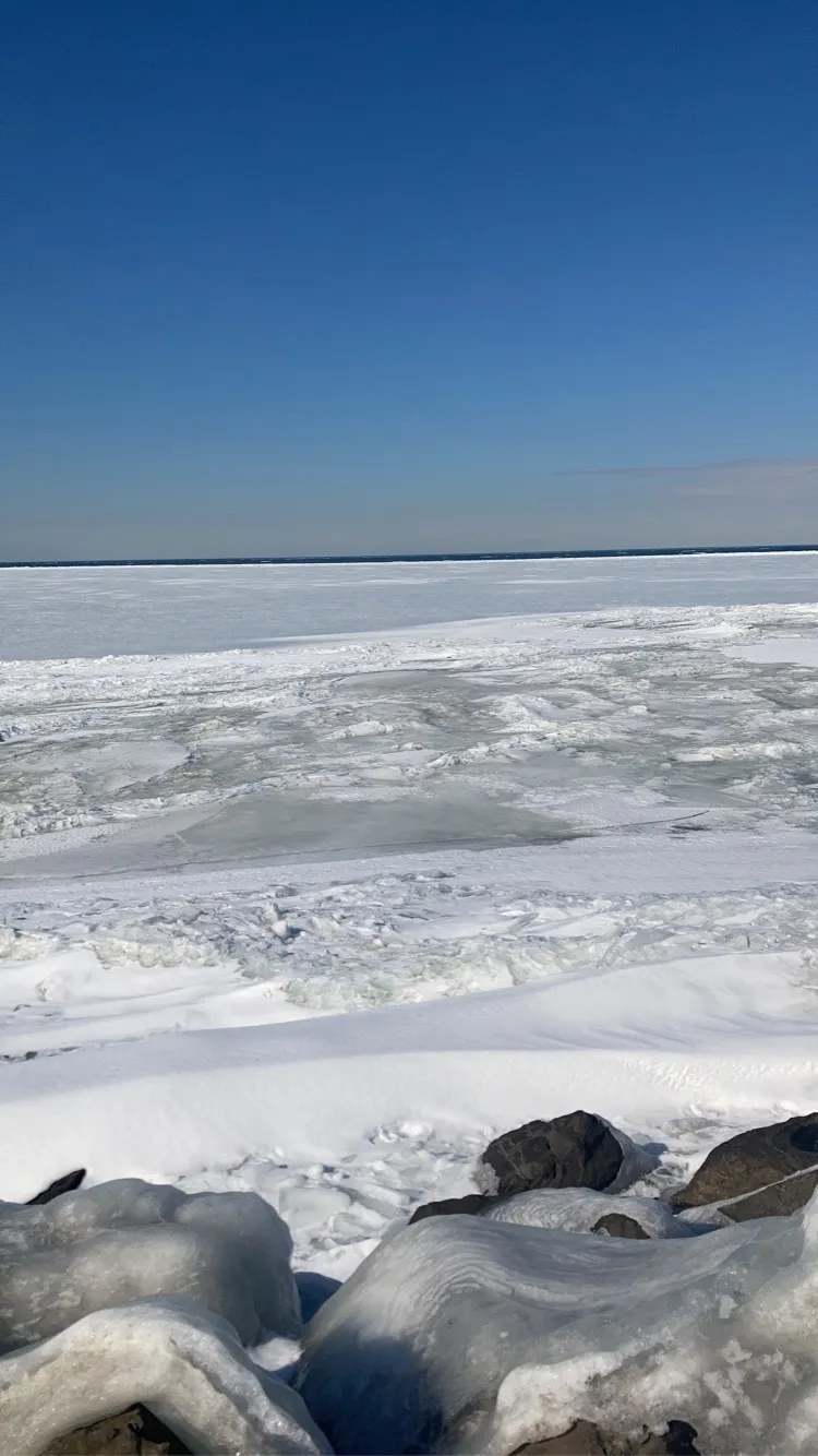 Susie B OnlyFans header