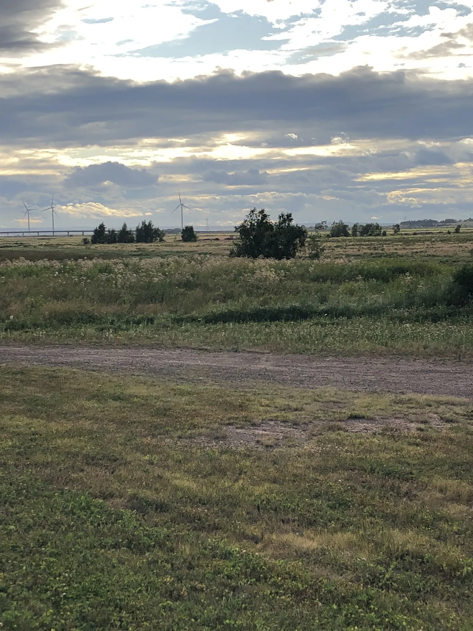 Wesley OnlyFans header