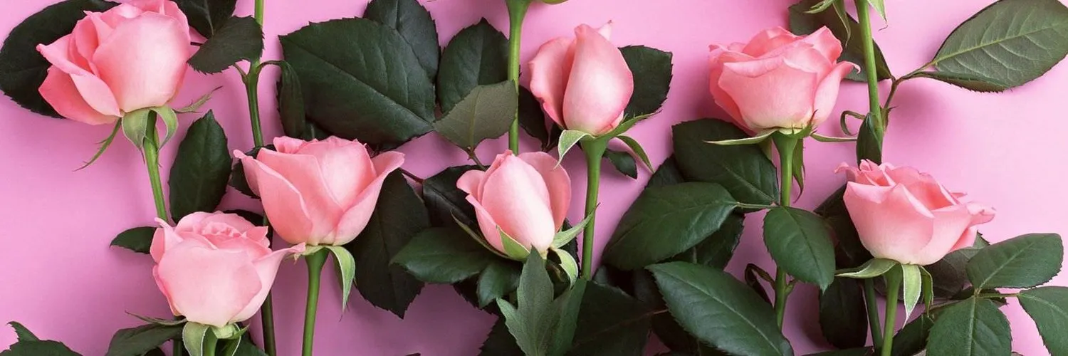 El Diablo OnlyFans header