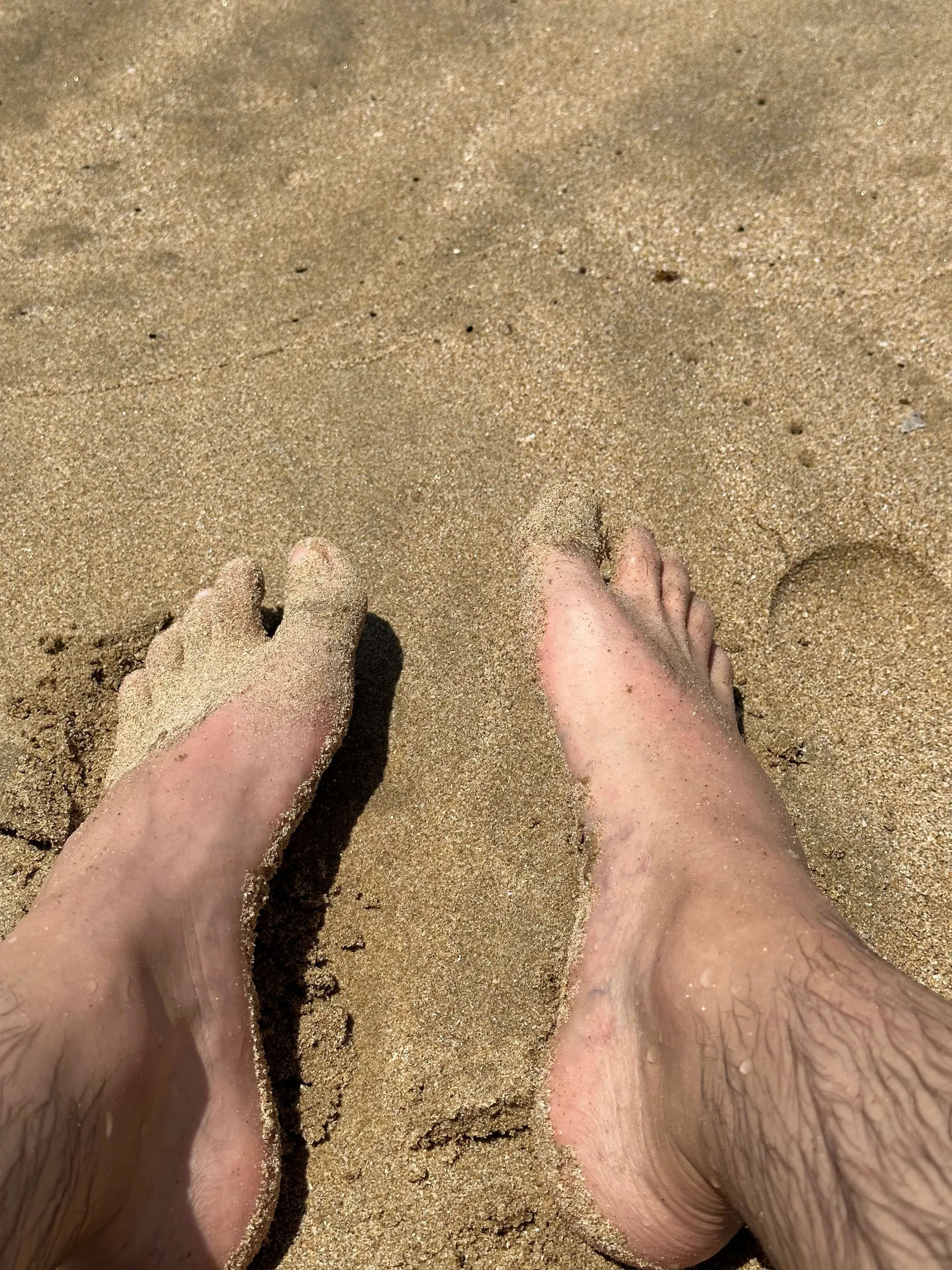 bitchmillion OnlyFans header