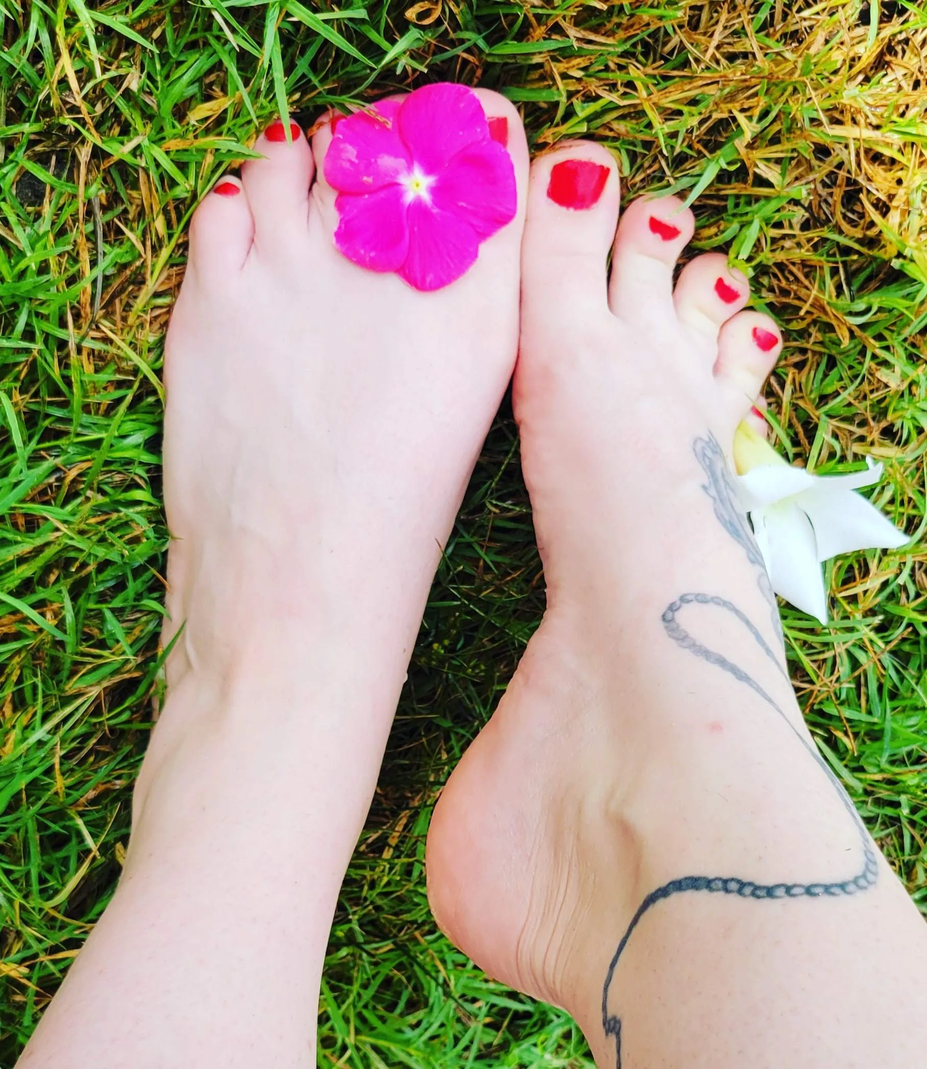 Pink E. Tō OnlyFans header