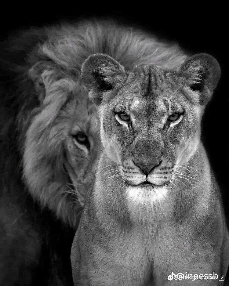 u223810877 OnlyFans header