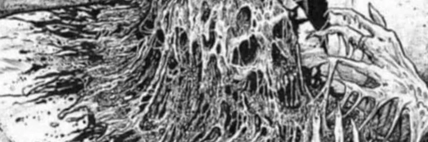 (ᵔᴥᵔ) OnlyFans header