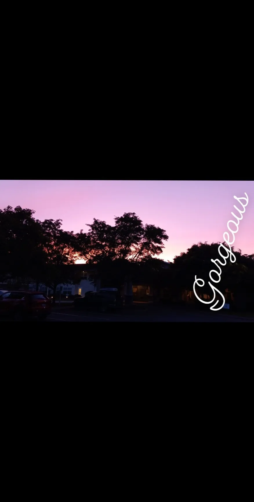 Rose OnlyFans header