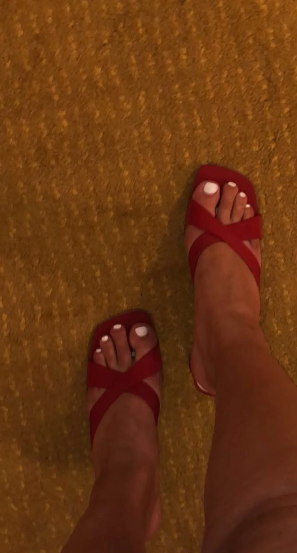 Karina Schuster OnlyFans header