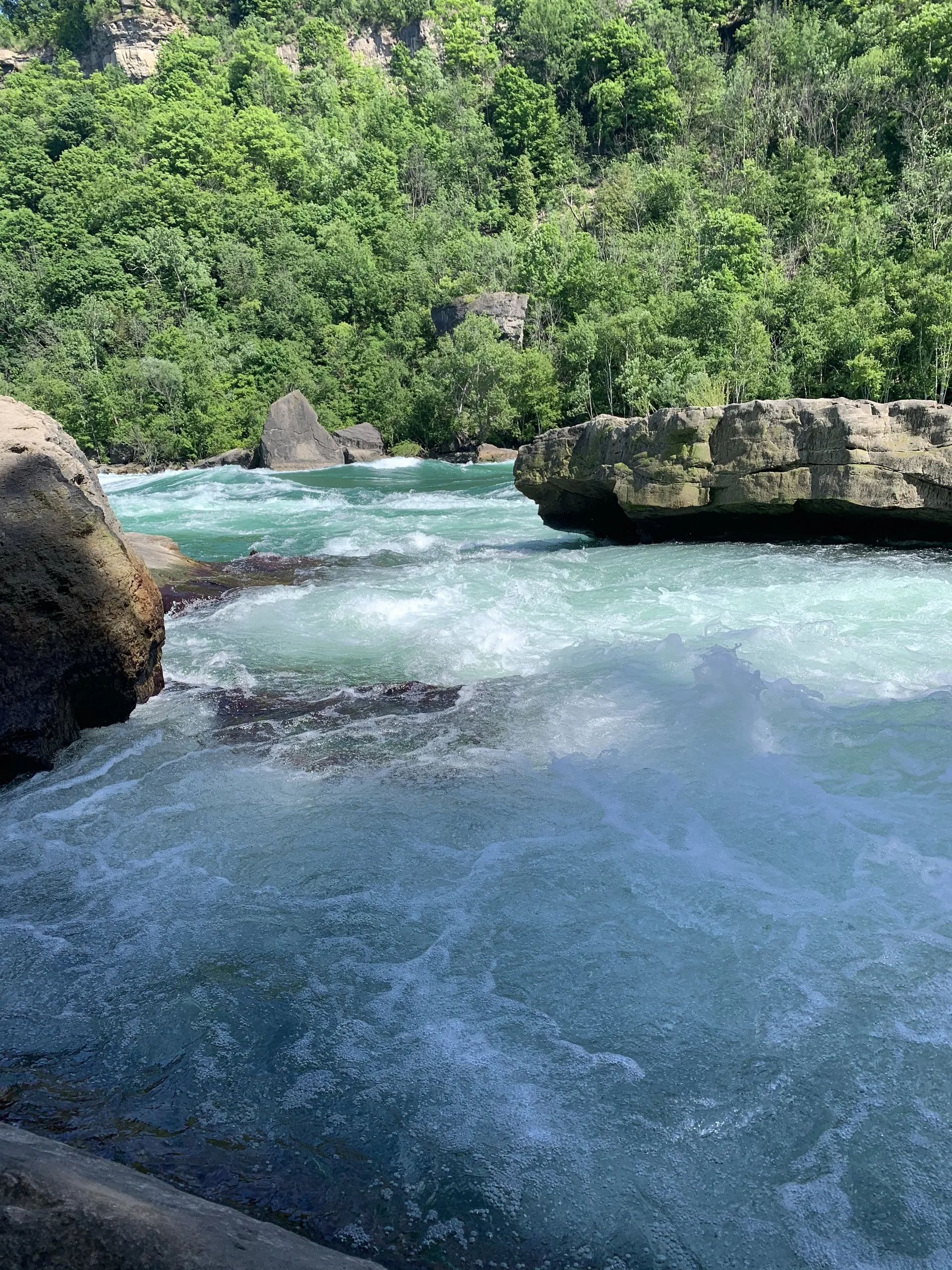 Tyler OnlyFans header