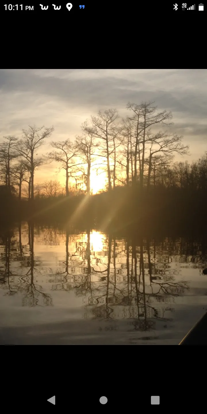 BizzieLizzie OnlyFans header