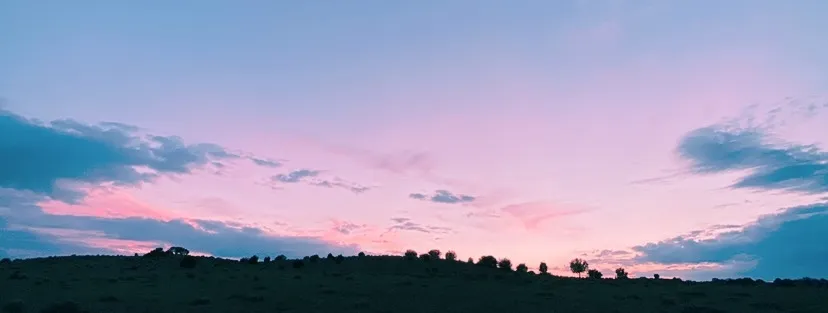 Bizzy OnlyFans header