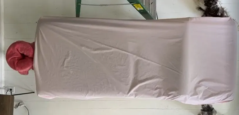 B J Citrus OnlyFans header