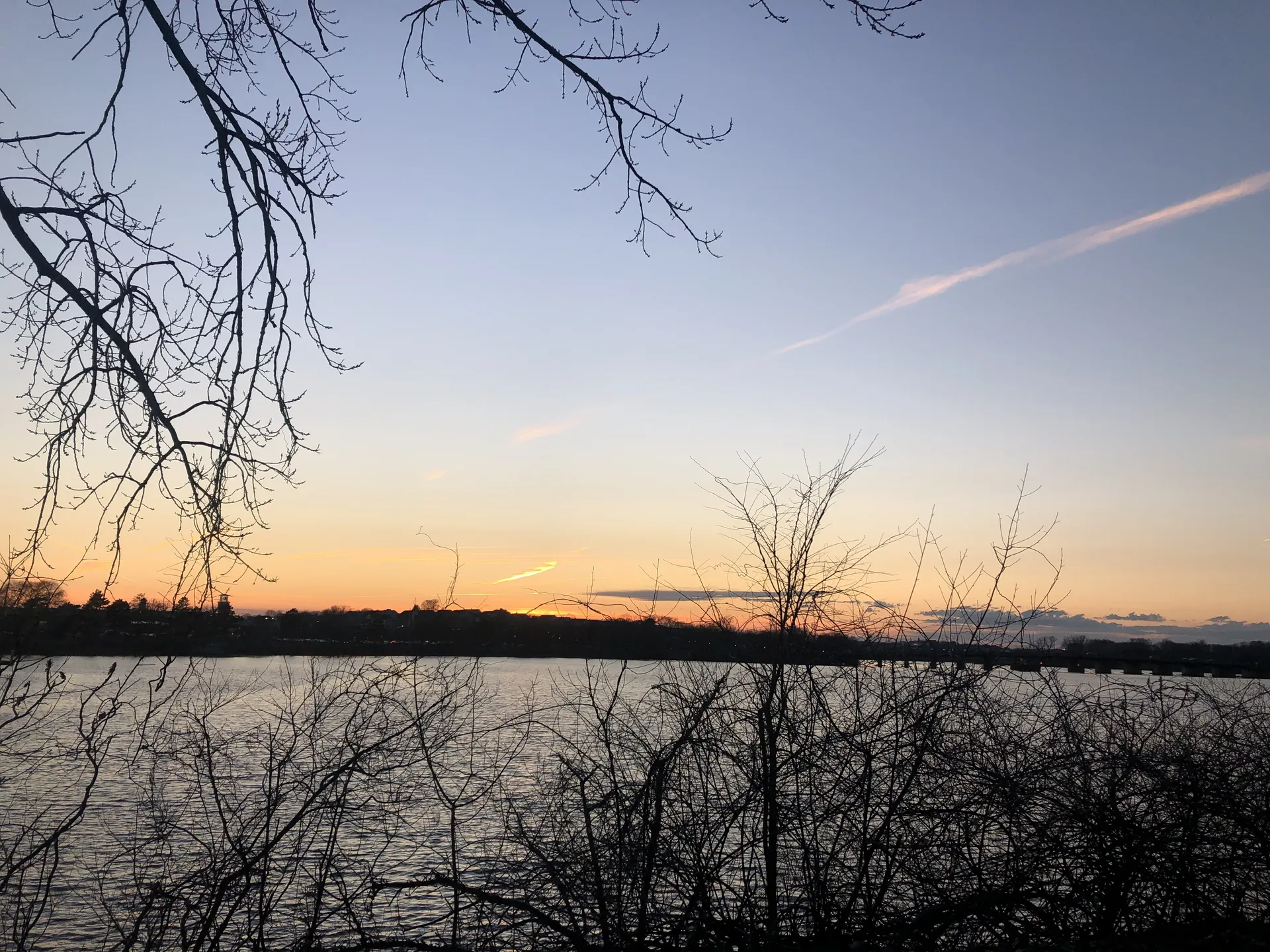 Bjelly OnlyFans header