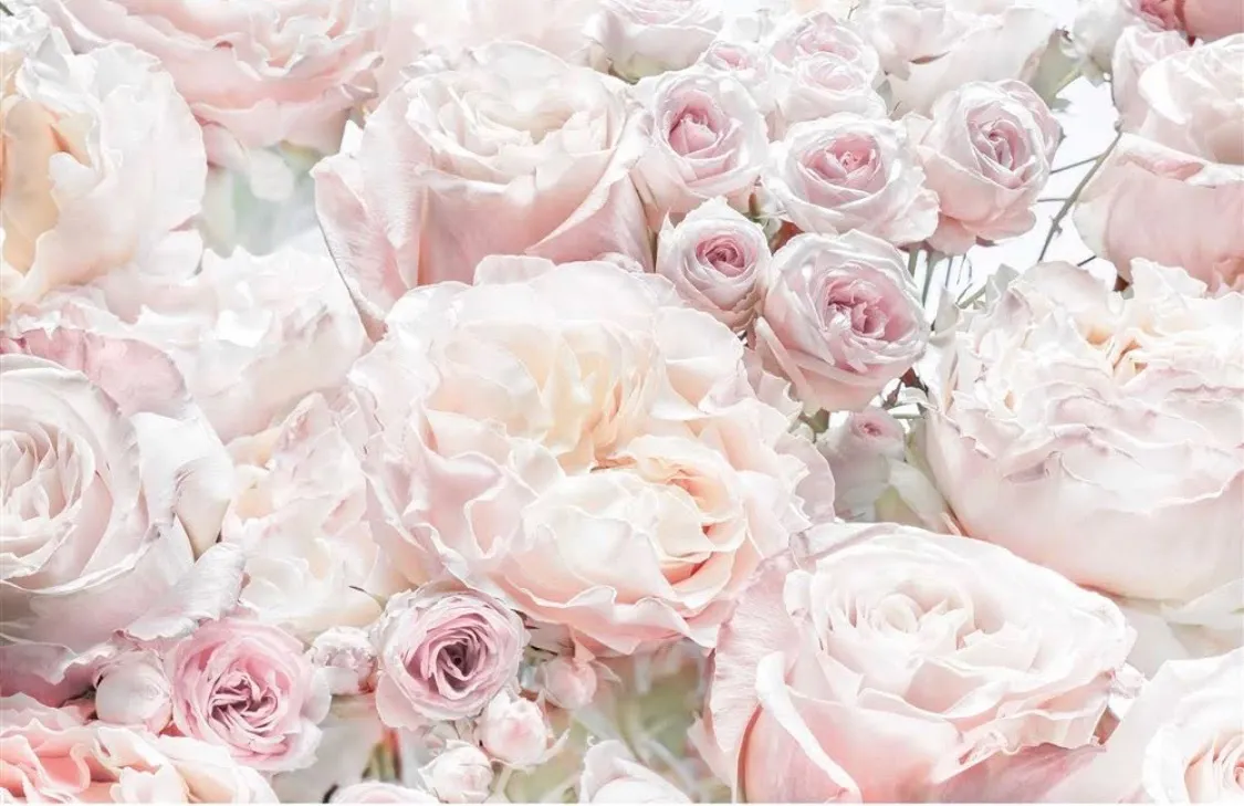 Stifler’s Mom OnlyFans header