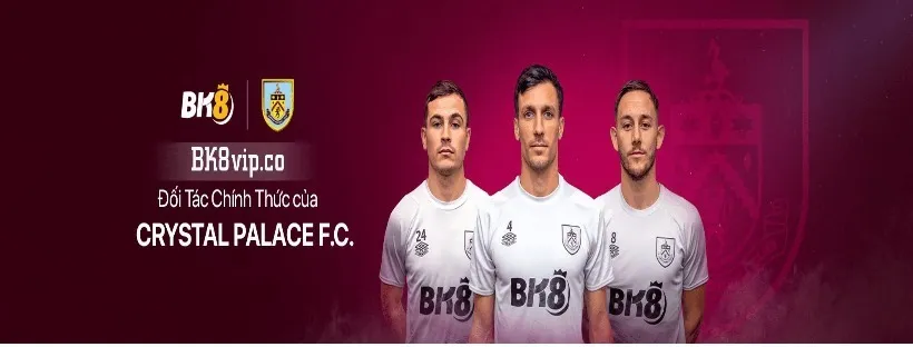 bk8vip OnlyFans header