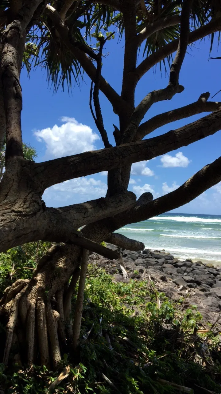 brynlee x OnlyFans header