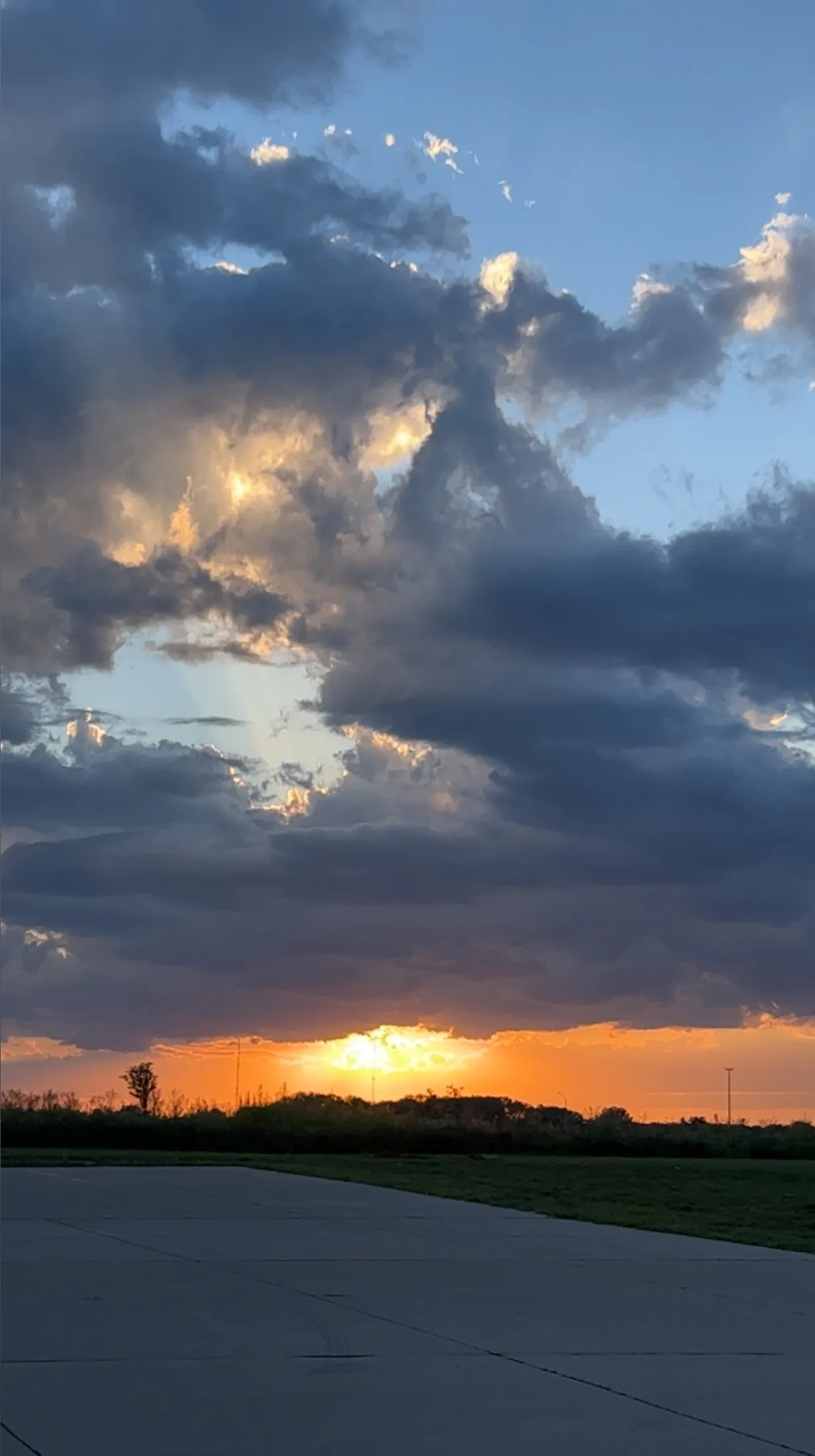 Bunny • ₊°✧︡ ˗ ˏ ˋ ♡ ˎˊ ˗ OnlyFans header