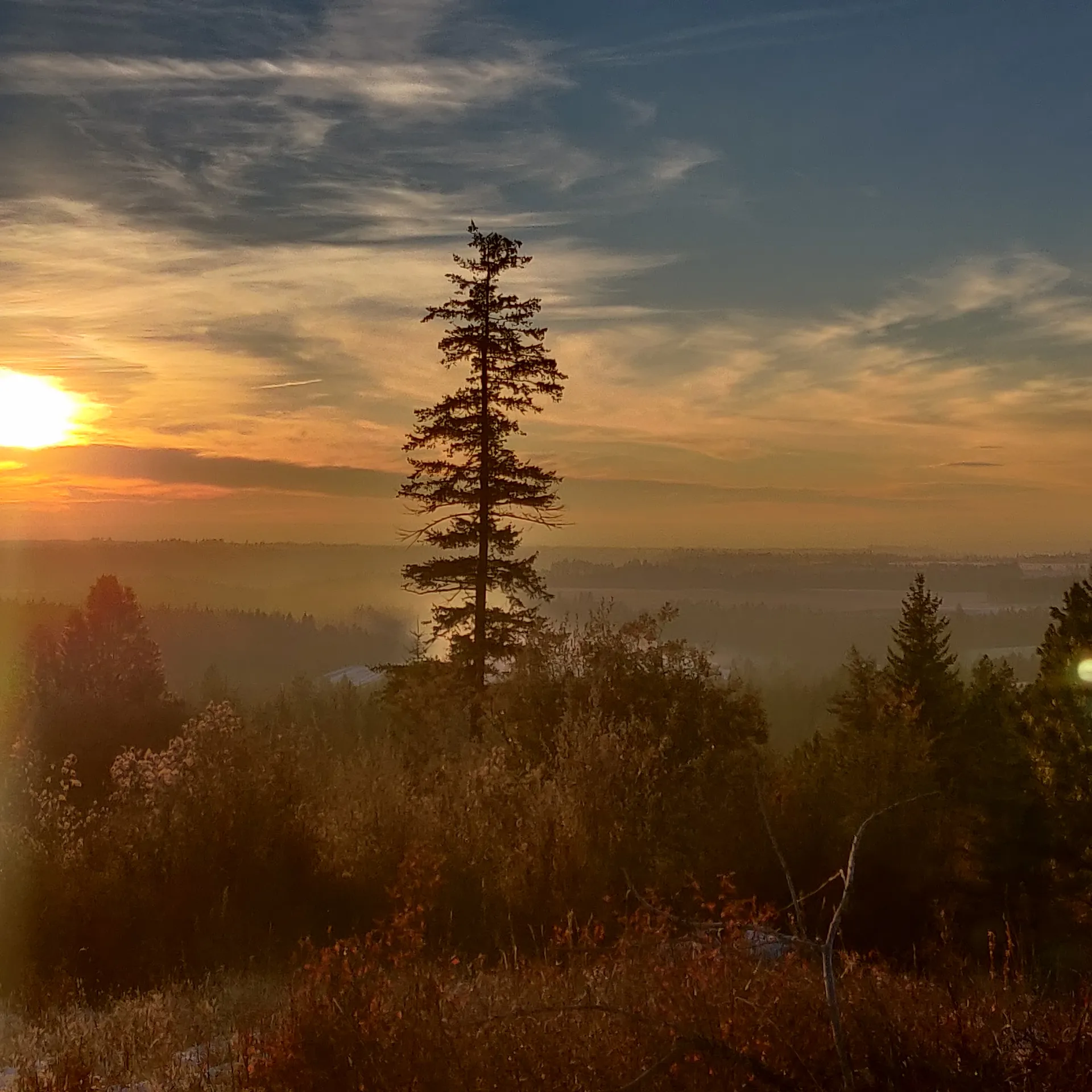 Tony Soleim OnlyFans header