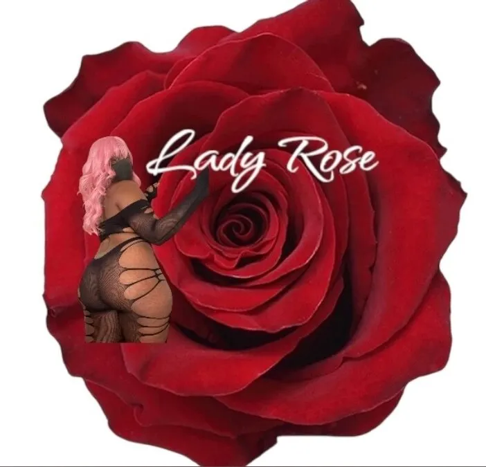 🌹 Lady Black Rose  🌹 OnlyFans header
