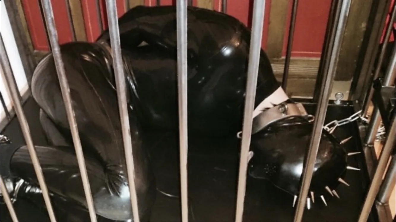 Black Rubber OnlyFans header