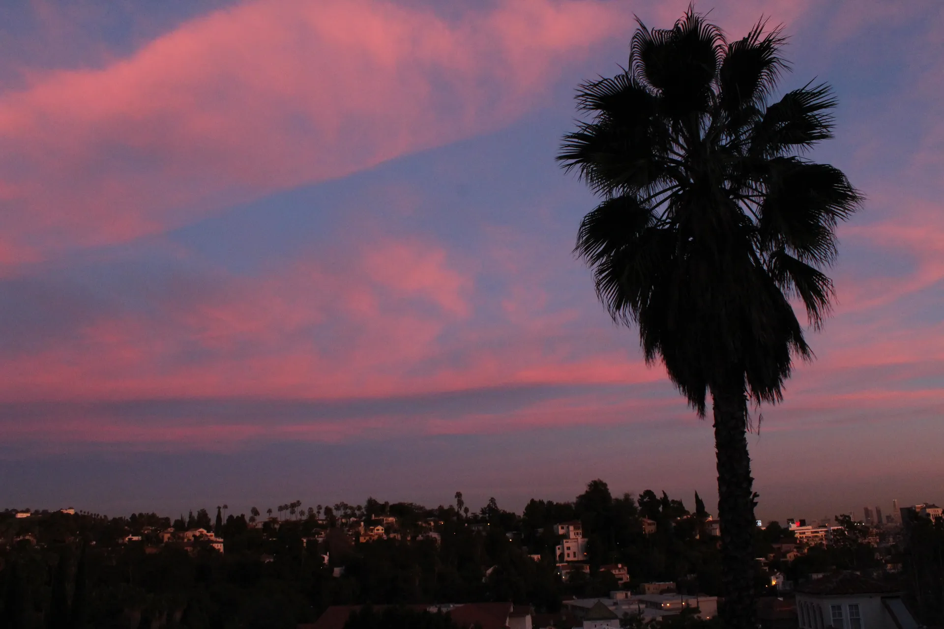 black_vinyl_blues OnlyFans header