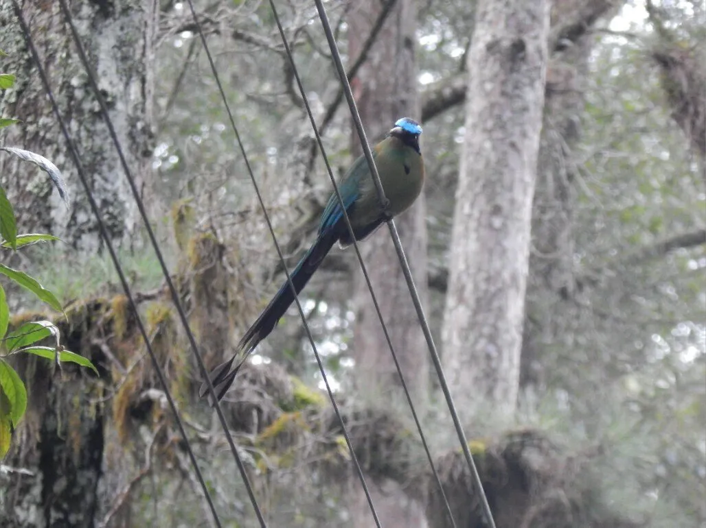 BlackandWhiteSex0123