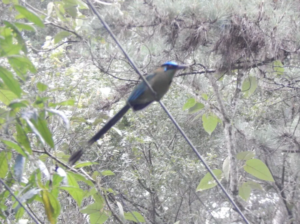 BlackandWhiteSex0123 OnlyFans header