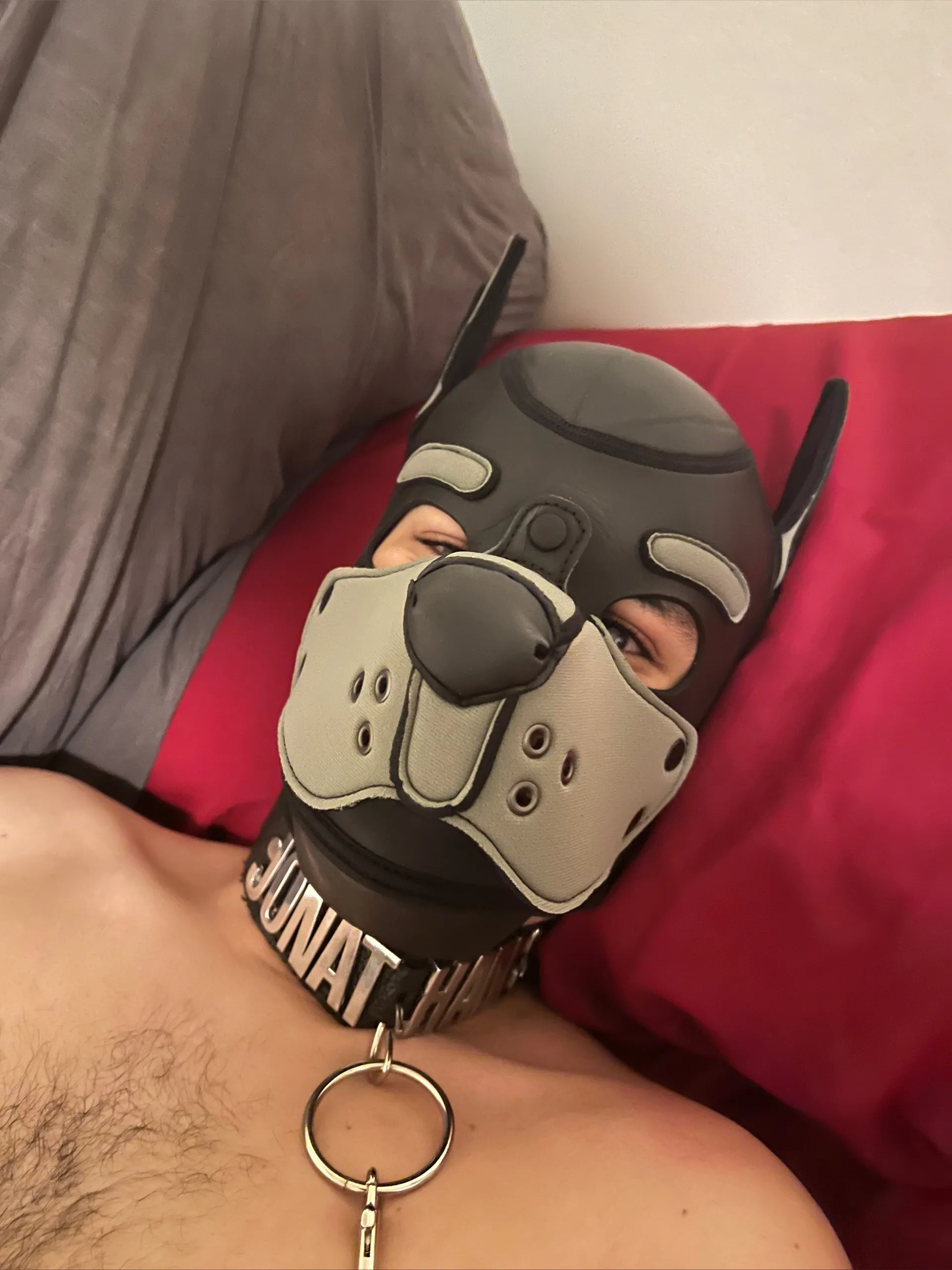 PhD and The Executive OnlyFans header