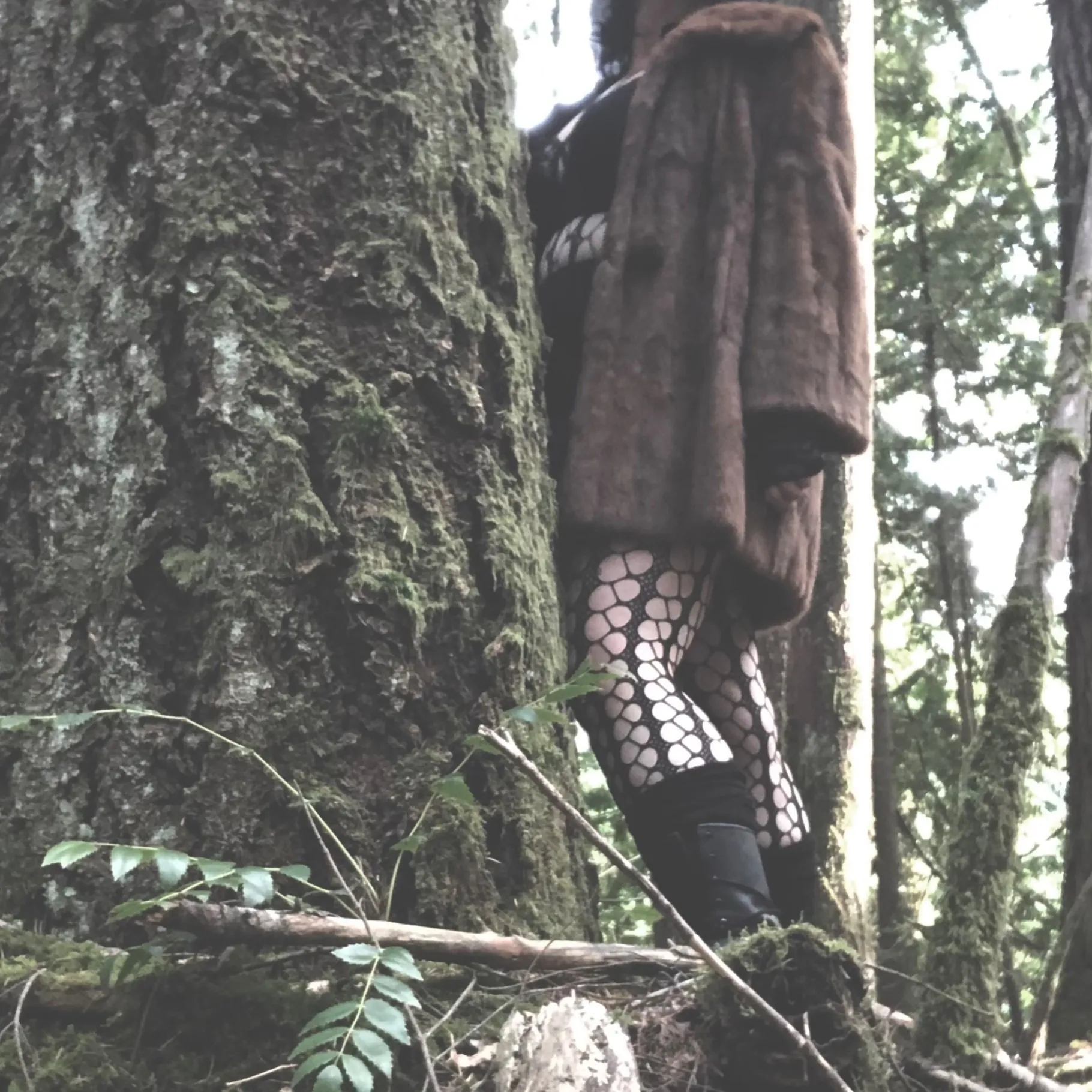 Blackberry Thorn OnlyFans header