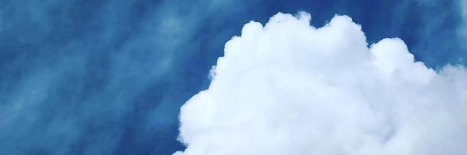 Fallon OnlyFans header