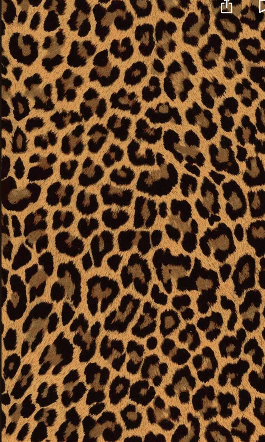 BlackBossiqueen OnlyFans header