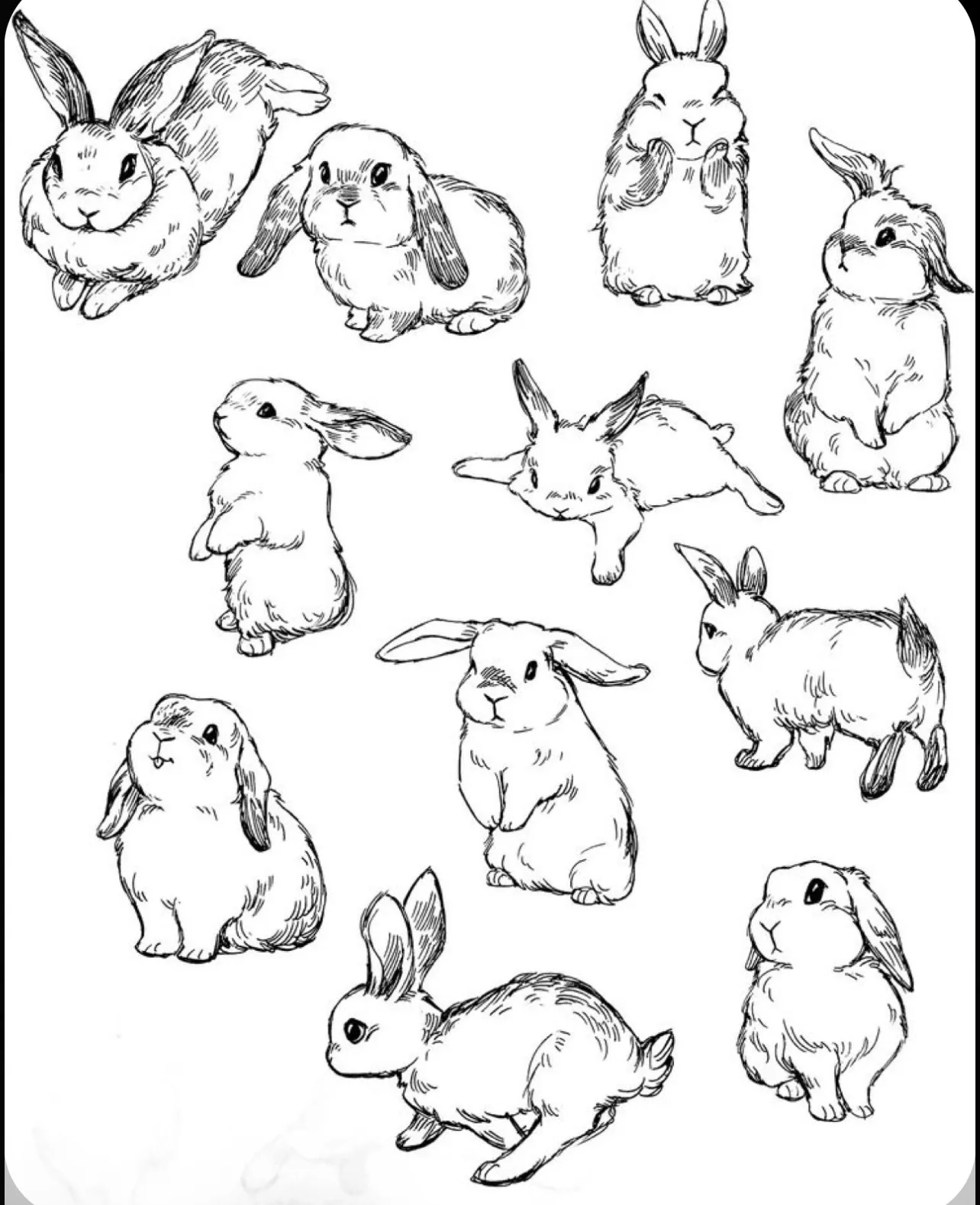 Black bunny <3 OnlyFans header