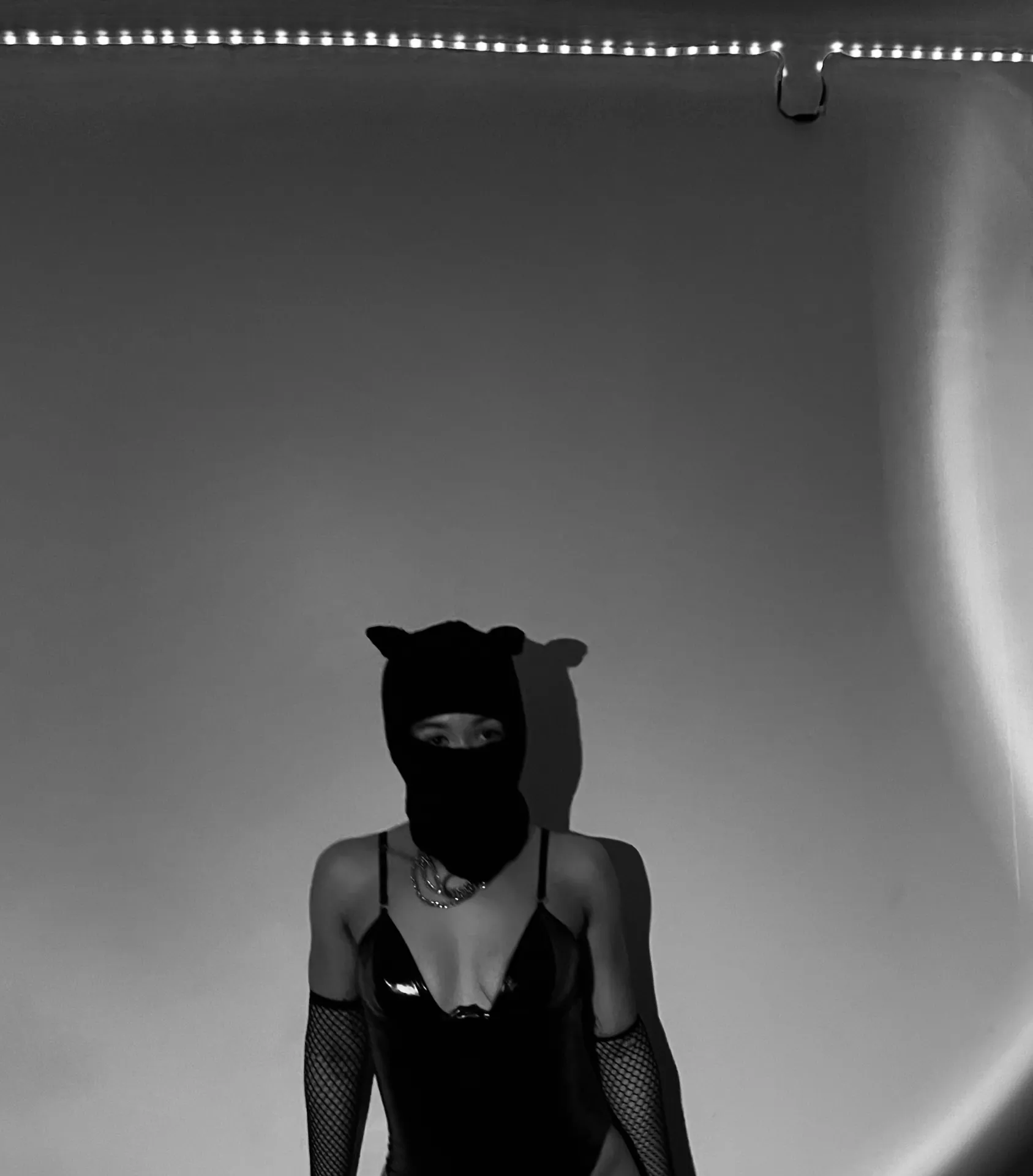 Pineapple The Cat 🐈‍⬛