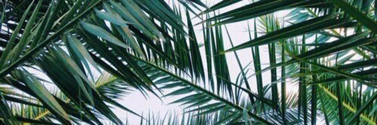 cXsper OnlyFans header