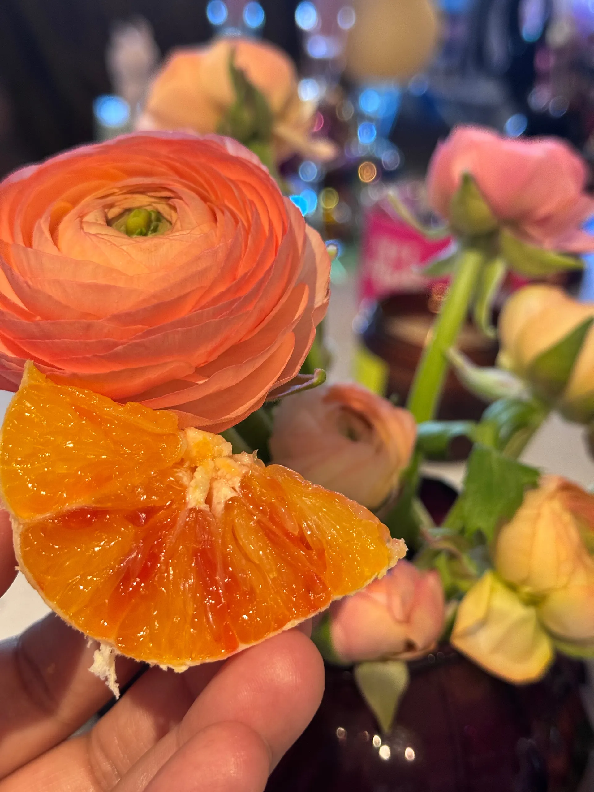 🦋 𝗦𝗘𝗫𝗧𝗜𝗡𝗚 𝗕𝗕𝗪 𝗕𝗜𝗠𝗕𝗢🦋 OnlyFans header