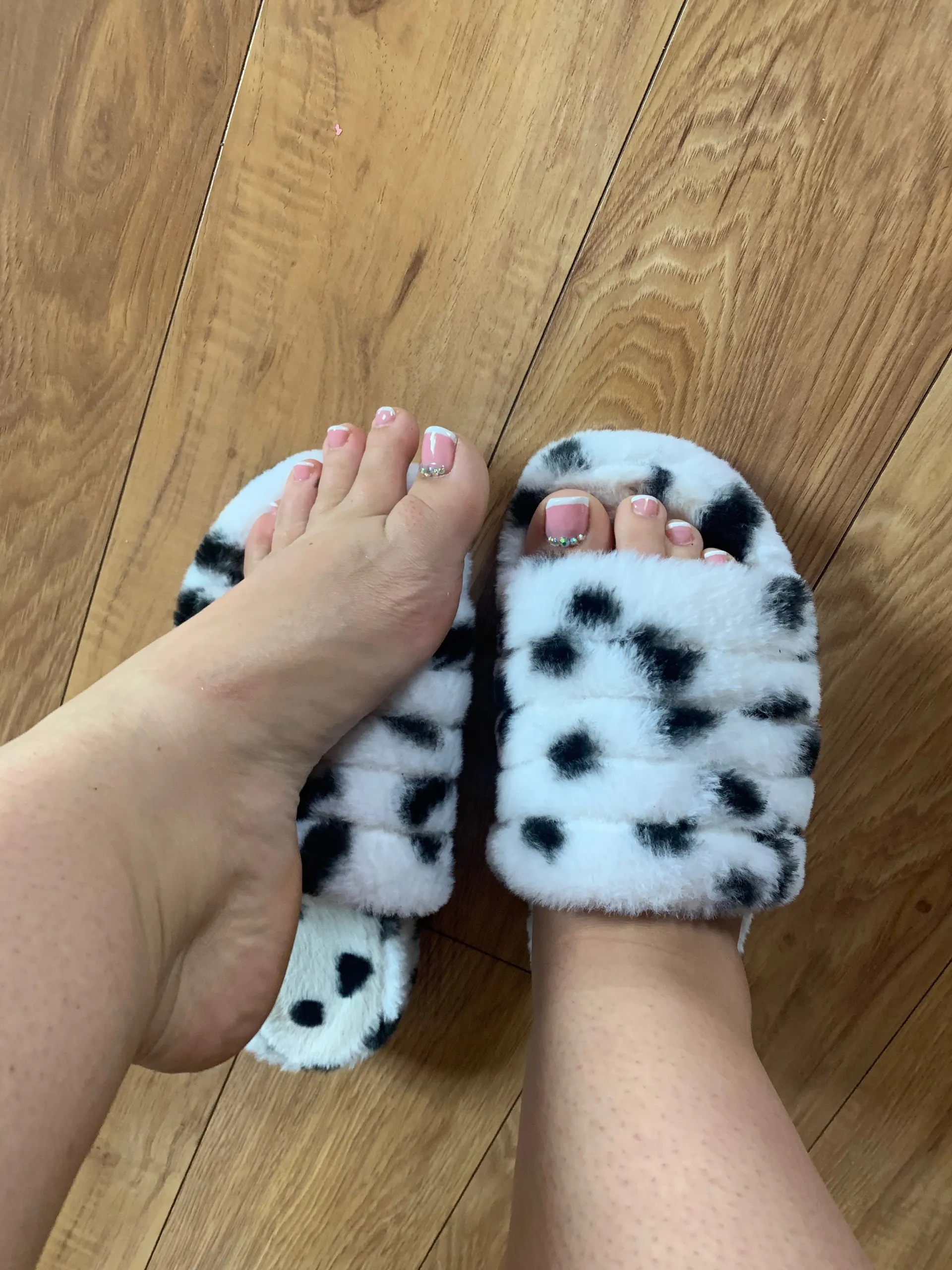 Star ⭐️ ♠️ OnlyFans header