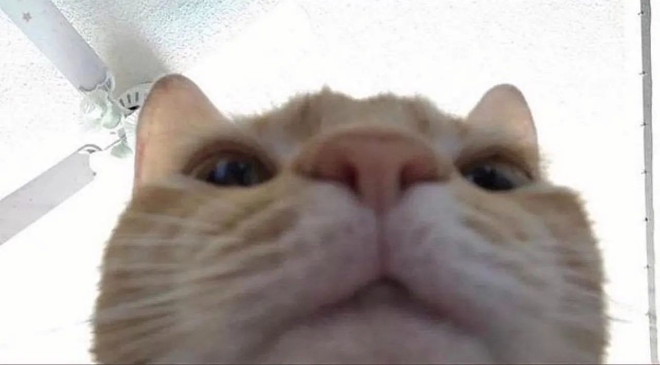 Just a guy who likes pretty things OnlyFans header