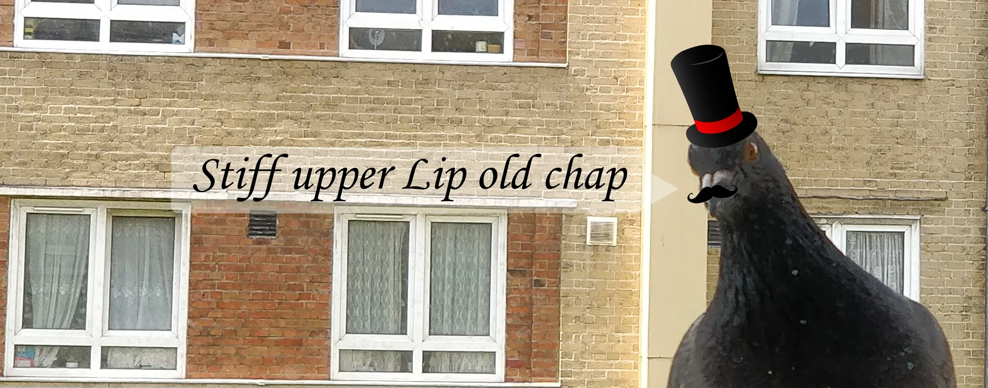 Blackhorn123 OnlyFans header