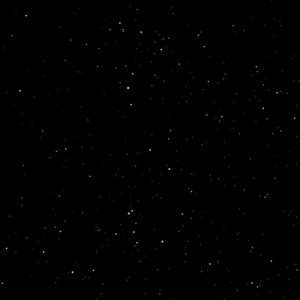 LilRose OnlyFans header